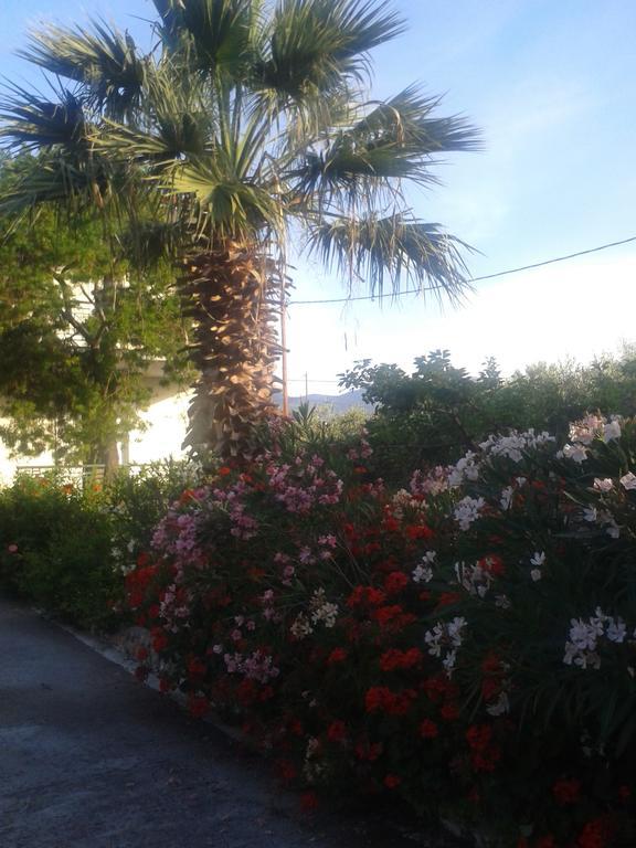 Elea Guesthouse Galaxídhion 외부 사진