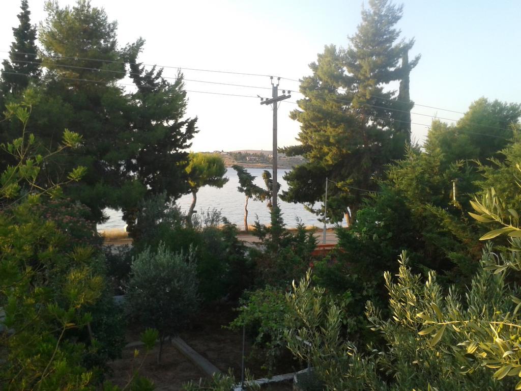 Elea Guesthouse Galaxídhion 외부 사진