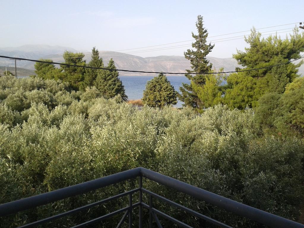 Elea Guesthouse Galaxídhion 객실 사진