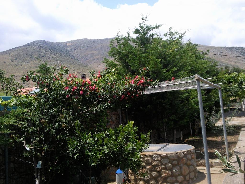 Elea Guesthouse Galaxídhion 외부 사진