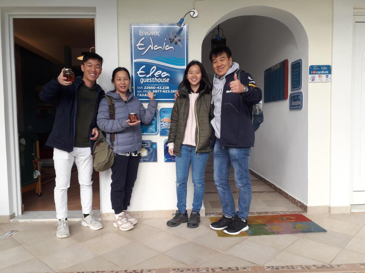 Elea Guesthouse Galaxídhion 외부 사진